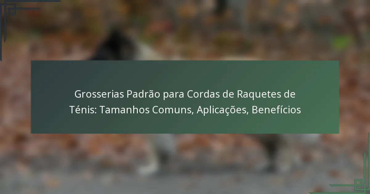 Grosserias Padrão para Cordas de Raquetes de Ténis: Tamanhos Comuns, Aplicações, Benefícios